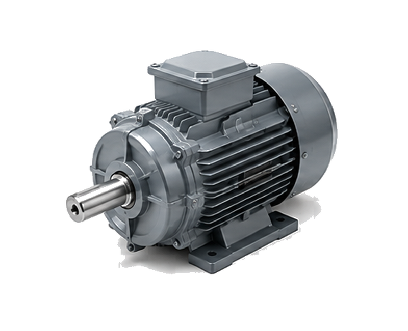 Industrial induction motor